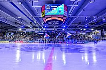 Eishockey, Herren, Penny DEL, 8. Spieltag, Saison 2023-2024, Straubing Tigers - ERC Ingolstadt,06.10.2023