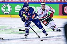 Eishockey, Herren, CHL, Champions Hockey League, Saison 2022-2023, Achtelfinale, Straubing Tigers - Frölunda HC Göteborg, Rückspiel, 22.11.2022
