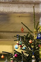 Eishockey, Herren, DEL, Saison 2021-2022, 10.12.2021