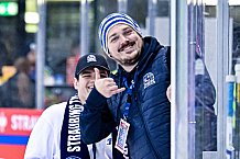 Eishockey, Herren, CHL, Champions Hockey League, Saison 2022-2023, Achtelfinale, Straubing Tigers - Frölunda HC Göteborg, Rückspiel, 22.11.2022