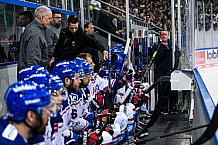 Eishockey, Herren, DEL, Saison 2021-2022, Playoff, Viertelfinale, Spiel 3, Straubing Tigers - Adler Mannheim, 14.04.2022