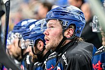 Eishockey, Herren, Penny DEL, Playoffs, Viertelfinale, Spiel 7, Saison 2023-2024, Straubing Tigers - Schwenninger Wild Wings,30.03.2024