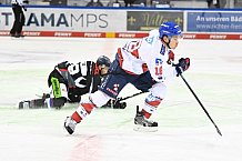 Eishockey, Herren, DEL, Saison 20202021, Straubing Tigers - Adler Mannheim, 22.01.2021