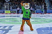 Eishockey, Herren, Penny DEL, DEL, Saison 2022-2023, Hauptrunde, Straubing Tigers - Kölner Haie, 57. Spieltag, 26.02.2023