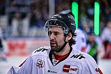 Eishockey, Herren, Penny DEL, DEL, Saison 2022-2023, Hauptrunde, Straubing Tigers - Kölner Haie, 57. Spieltag, 26.02.2023