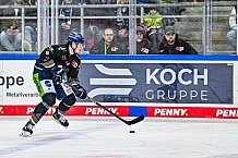 Eishockey, Herren, Penny DEL, 49. Spieltag, Saison 2023-2024, Straubing Tigers - Frankfurter Löwen,25.02.2024
