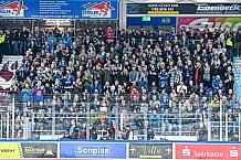 Eishockey, Herren, Penny DEL, Playoffs, Halbfinale, Spiel 2, Saison 2023-2024, Straubing Tigers - Eisbären Berlin, n03.04.2024