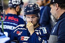 Eishockey, Herren, DEL, Saison 2021-2022, 07.11.2021