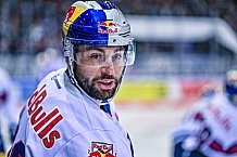 Eishockey, Herren, DEL, Saison 2022-2023, Hauptrunde, Straubing Tigers - EHC Red Bull München, 13. Spieltag, 21.10.2022