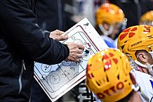 Eishockey, Herren, DEL, Saison 2020-2021, Straubing Tigers - Fishtown Pinguins Bremerhaven, 21.03.2021