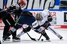 Eishockey, Herren, DEL, Saison 2021-2022, 19.10.2021