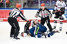 Eishockey, Herren, DEL, Saison 2021-2022, 07.11.2021