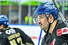 Eishockey, Herren, Penny DEL, 16. Spieltag, Saison 2023-2024, Straubing Tigers - Schwenninger Wild Wings,31.10.2023