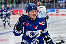Eishockey, Herren, Penny DEL, 42. Spieltag, Saison 2023-2024, Straubing Tigers - Ingolstadt Panther,28.01.2024