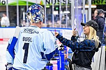 Eishockey, Herren, DEL, Penny DEL, Saison 2023-2024, Straubing Tigers, öffentliches Eistraining,06.08.2023