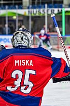 Eishockey, Herren, Penny DEL, 44. Spieltag, Saison 2023-2024, Straubing Tigers - Adler Mannheim,04.02.2024