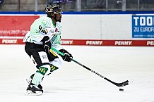 Eishockey, Herren, DEL, Saison 2021-2022, 24.10.2021