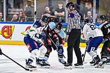 Eishockey, Men, CHL, Champions Hockey League, Regular Saison 2024-25, Game Day 1, Straubing Tigers - SonderjyskE Vojens, 06.09.2024