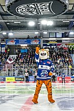 Eishockey, Herren, Penny DEL, 11. Spieltag, Saison 2023-2024, Straubing Tigers - Koelner Haie,15.10.2023