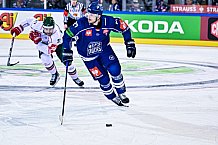 Eishockey, Herren, CHL, Champions Hockey League, Saison 2022-2023, Achtelfinale, Straubing Tigers - Frölunda HC Göteborg, Rückspiel, 22.11.2022
