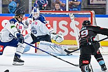 Eishockey, Men, CHL, Champions Hockey League, Regular Saison 2024-25, Game Day 1, Straubing Tigers - SonderjyskE Vojens, 06.09.2024