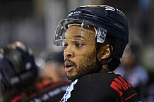 Eishockey, Herren, DEL, Saison 20202021, Straubing Tigers - Adler Mannheim, 22.01.2021