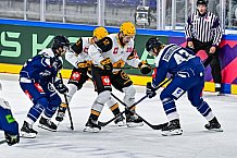 Eishockey, Men, CHL, Champions Hockey League, Regular Saison 2024-25, Game Day 2, Straubing Tigers - Skelleftea AIK, 08.09.2024