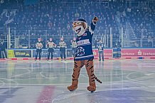 Eishockey, Herren, Penny DEL, 29. Spieltag, Saison 2023-2024, Straubing Tigers - Schwenninger Wild Wings,21.12.2023