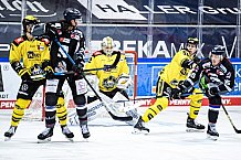 Eishockey, Herren, DEL, Saison 2020-2021, Straubing Tigers - Krefeld Pinguine, 07.04.2021