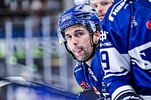 Eishockey, Herren, DEL, Penny DEL, Vorbereitung, Gäubodencup 2023, Saison 2023-2024, Straubing Tigers - Nürnberg Ice Tigers,18.08.2023