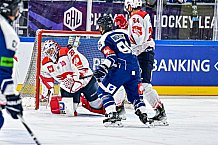 Eishockey, Men, CHL, Champions Hockey League, Regular Saison 2024-25, Game Day 4, Straubing Tigers - Dynamo Pardubice, 15.09.2024