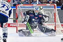 Eishockey, Herren, Penny DEL, Playoffs, Viertelfinale, Spiel 1, Saison 2023-2024, Straubing Tigers - Schwenninger Wild Wings,16.03.2024