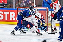 Eishockey, Men, CHL, Champions Hockey League, Regular Saison 2024-25, Game Day 4, Straubing Tigers - Dynamo Pardubice, 15.09.2024