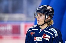 Eishockey, Herren, DEL, Saison 2021-2022, 39. Spieltag, Straubing Tigers - Grizzlys Wolfsburg,  18.02.2022