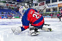 Eishockey, Herren, Penny DEL, 50. Spieltag, Saison 2023-2024, Straubing Tigers - Eisbären Berlin,01.03.2024