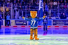 Eishockey, Herren, Penny DEL, Playoffs, Halbfinale, Spiel 4, Saison 2023-2024, Straubing Tigers - Eisbären Berlin, n07.04.2024