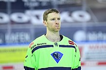 Eishockey, Herren, DEL, Saison 2020 2021, Straubing Tigers - ERC Ingolstadt, 31.01.2021