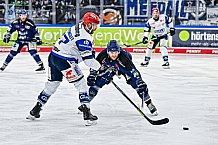 Eishockey, Herren, Penny DEL, Playoffs, Viertelfinale, Spiel 3, Saison 2023-2024, Straubing Tigers - Schwenninger Wild Wings,22.03.2024