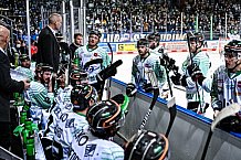 Eishockey, Herren, DEL, Saison 2021-2022, 01.10.2021