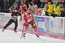 Herren, Eishockey, Oberliga-Süd, DEB, Saison 2024-2025, Deggendorfer SC - Tölzer Löwen, 22.09.2024