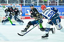 Eishockey, Herren, Penny DEL, 16. Spieltag, Saison 2023-2024, Straubing Tigers - Schwenninger Wild Wings,31.10.2023