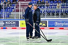 Eishockey, Herren, DEL, Penny DEL, Saison 2023-2024, Straubing Tigers, öffentliches Eistraining,06.08.2023