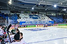 Eishockey, Herren, CHL, Champions Hockey League, Saison 2022-2023, Achtelfinale, Straubing Tigers - Frölunda HC Göteborg, Rückspiel, 22.11.2022