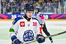 Eishockey, Men, CHL, Champions Hockey League, Regular Saison 2024-25, Game Day 1, Straubing Tigers - SonderjyskE Vojens, 06.09.2024