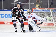 Eishockey, Herren, DEL, Saison 20202021, Straubing Tigers - Adler Mannheim, 22.01.2021
