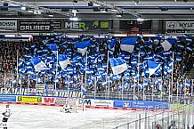 Eishockey, Herren, Penny DEL, 17. Spieltag, Saison 2023-2024, Straubing Tigers - EHC Red Bull Muenchen,03.11.2023
