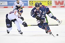 Eishockey, Herren, DEL, Saison 2020-2021, Straubing Tigers - EHC Red Bull München, 22.02.2021