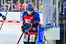 Eishockey, Herren, Penny DEL, Playoffs, Halbfinale, Spiel 2, Saison 2023-2024, Straubing Tigers - Eisbären Berlin, n03.04.2024