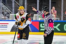 Eishockey, Men, CHL, Champions Hockey League, Regular Saison 2024-25, Game Day 2, Straubing Tigers - Skelleftea AIK, 08.09.2024