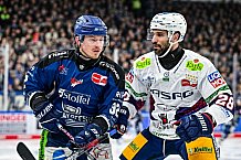 Eishockey, Herren, Penny DEL, Playoffs, Halbfinale, Spiel 2, Saison 2023-2024, Straubing Tigers - Eisbären Berlin, n03.04.2024